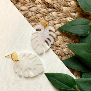 Monstera